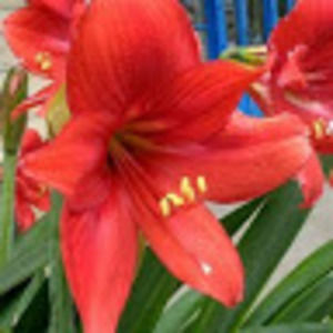 Meet your Posher, Nancy